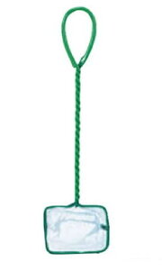 y^JYƁz22- gl[hlbg TCYFLy4995202201538z