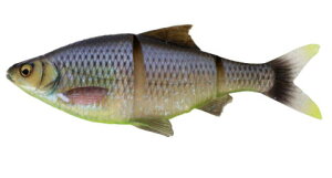 ��Savage Gear/�T�x�[�W�M�A�� 3D Magnum LT Gizzard SS�i3D �}�O�i�����C���X���[�M�U�[�hSS�j�T�C�Y�F12.5inch �J���[�FCHBBR(�`���[�g�����[�X�x���[�u���[��)�y5706301034892�z