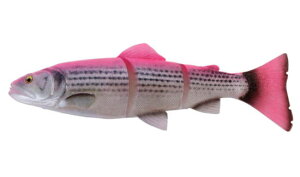 ��Savage Gear/�T�x�[�W�M�A�� 3D LT Trout SS�i3D ���C���X���[�g���E�gSS�j�T�C�Y�F12inch �J���[�FPKBBR(�s���N�o�b�N�{��)�y5706301034793�z