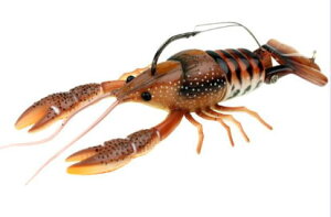��River2Sea���_�[���o�[�O�N���b�L���N���C�t�B�b�V��90�J���[�F05.Brown-Orange�y880469624746�z