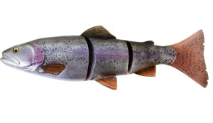 ��Savage Gear/�T�x�[�W�M�A�� 3D LT Trout SS�i3D ���C���X���[�g���E�gSS�j�T�C�Y�F15.75inch �J���[�FRBO(���C���{�[)�y5706301034861�z