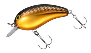 _Cs[ibc DDRJ[FNLy4550133243462z