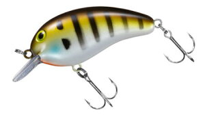 _Cs[ibc DDRJ[F|hMy4550133243448z