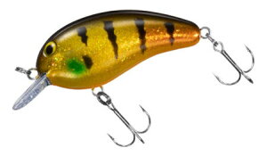 _Cs[ibc DDRJ[FS[WXMy4550133243493z