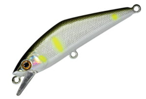 X~X D-R^Ng50J[F38.Ap[y4511474236056z