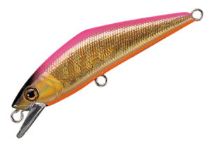 X~X D-R^Ng50J[F25.GsN y4511474172231z