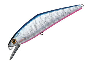 X~X D-R^Ng85J[F22.u[sNy4511474172385z