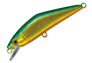 X~X D-R^Ng50J[F43.O[S[h y4511474290621z