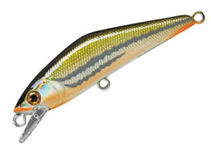 X~X D-R^Ng50J[F31.EOC y4511474192970z