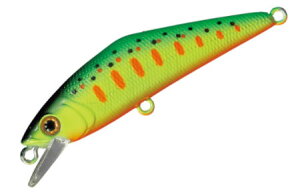 X~X D-R^Ng50J[F37.N[W[} y4511474312125z