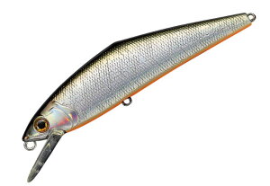 X~X D-R^Ng85J[F07.TS[U[y4511474150307z