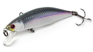 <Jackson> METEORA 52カラー:CGP 銀箔【4511729668670】