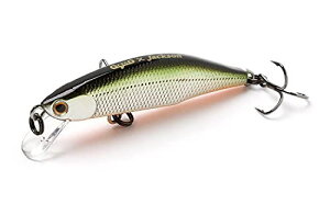 Jackson@METEORA 45J[FTSD elV[Vbhy4511729673308z