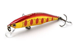 <Jackson> METEORA 45カラー:AKY アカキンヤマメ【4511729673230】