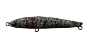 ��Bassday�E�o�X�f�C��S.P.M. 75�J���[�FC-85 �N���A�[�u���b�N�X�v���b�V���y4513964320276�z