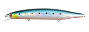 BassdayEoXfC LOGSiOYj 124SJ[FSE-488 CVbhx[y4513964743099z
