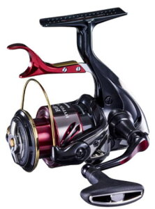 yV}mz2020BB-X nCp[tH[X C2000D XXGy4969363042804zyFkCE500~Ղ܂bhƂ̓sz