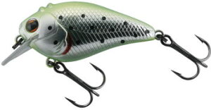 C}JcXPAu[57LengthF57mm@WeightF11.5gJ[F#168 `[g^X|bgy4580175249207z