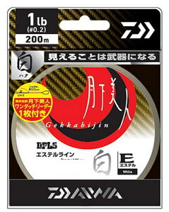 y_Cz2020l TYPE-E @200ḿilb.jF1.5y4550133124969z