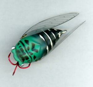 �qFull-Bottom�@Bait�@Company�EPEYOTE�rWriggle CICADA�J���[�F2