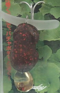 BassdayEoXfC Ƃ̃J[FhNKGy4513964144254z