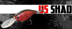 bL[Ntg@US Shad 65FJ[FMS American Shady802897162706z