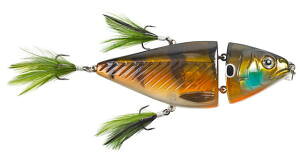 LunkerhuntEasy Prey @PREY206J[FGillyy628853901970z