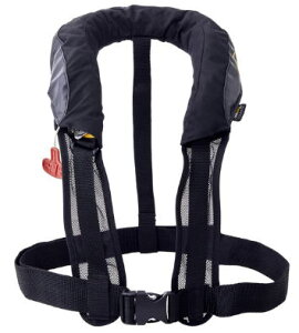 y܂z2023RpNgGAxXg GM2195J[FubNTCYFFy4549018722871z