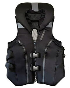 .yI[i[zi ԁF8960{fB[veN^[2SJ[FnTCYFt[y4953873382642z