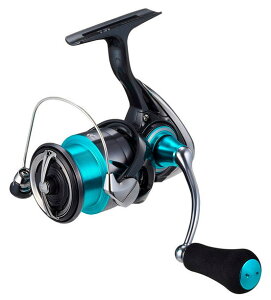 y_Cz2024G_X X LT2500y4550133431470z