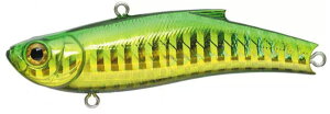 ��Bassday�������W�o�C�u 55ES�J���[�FHH-155 �n�C�g�z���S�[���h�O���[��BB�y4513964174459�z