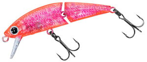 _C Dr.~m[ WCg5F lJX^J[FNbVO[IWy4550133446108z