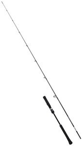 y^ii180TCYjzyV}mz2021 Obv[ BB ^CvLJ S63-2y4969363301406z