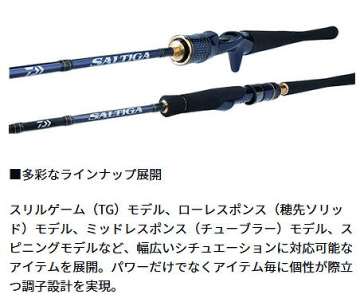 楽天市場】【大型商品（260サイズ）】【ダイワ】22 ソルティガ LJ 