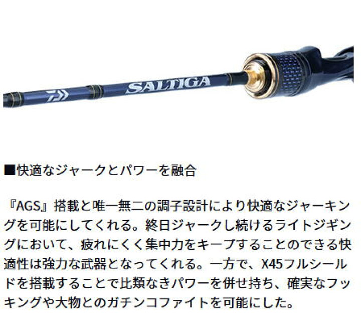 楽天市場】【大型商品（260サイズ）】【ダイワ】22 ソルティガ LJ 