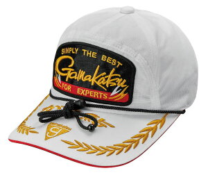 y܂z2025byLbv(܈)iR[hFGM9118J[FzCgTCYFLy4549018778878z