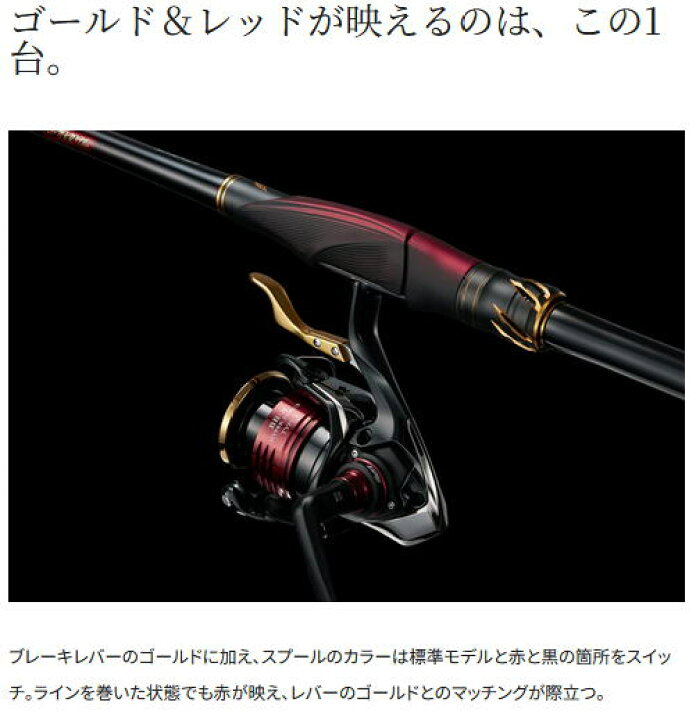 楽天市場】.【シマノ】25BB-X ハイパーフォース タイプ2 C3000DXG S L 