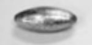 y哇쏊z󕟈󒆒ʂ 1kgKiFicF12y4946109074213z