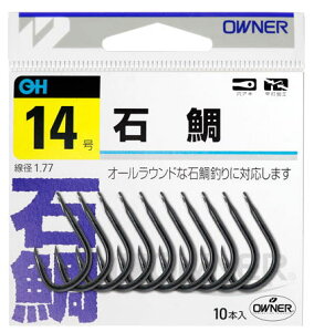 yI[i[zi ԁF10047OHΑijTCYF17y4953873517037z