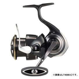 楽天市場】【大型商品（260サイズ）】【ダイワ】22 ソルティガ LJ 