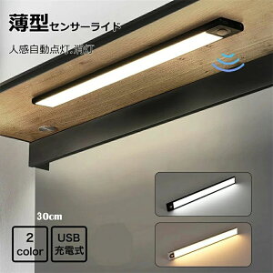 gC Lb` 퓔 h d iK   Ɩ   ԃCg tbgCgLEDZT[Cg .9cm