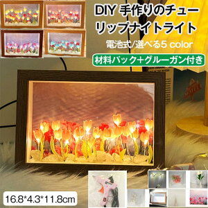  LEDC~l[V t[v - z[fR[V ̃`[bviCgCg DIY `[bvv