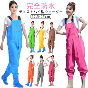 C  Cނ  _ | d ނ tC Sh `FXgnCEF[_[ fB[X EF[_[ 