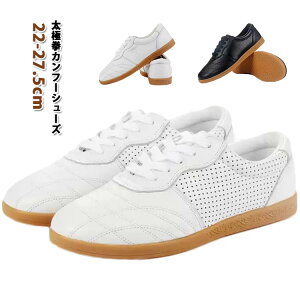 S  fB[X Y ɌpV[Y V[Y g[jO @  EFA Ɍ p {v vC t[C