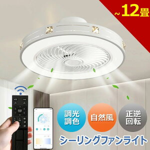 t@  dc[^[ LED V[OCg ʔNp R 悠 铔 Cz  V[Ot@Cg