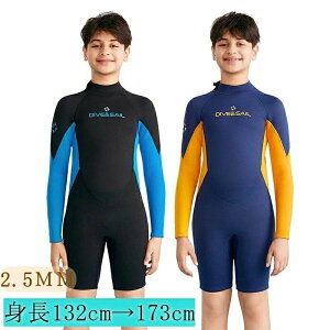 WjA q 2.5mm tX[c  V[gpc }X|[c _CrOX[c LbY _CrOp ϋv