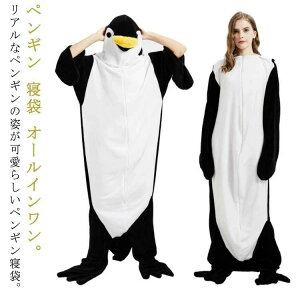 yMuPbg uPbg  ѕz yM yM tl