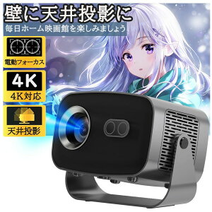 13ځ^vWFN^[ ^ ƒp V䓊e dtH[JX X}zƌq 4KΉ