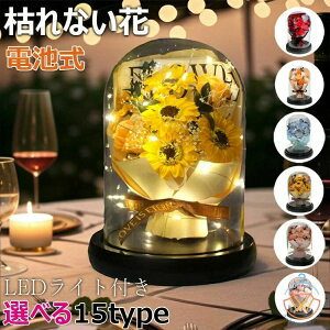 �M�t�g �\�[�v�t�����[ �� �ԑ� ��̓� LED���C�g�t�� �d�r�� �i���̈� ���ӂ̋C�� ���j�� �a���� �o�����^�C���f�[ �N���X�}�X �L�O�� �K���X�h�[��