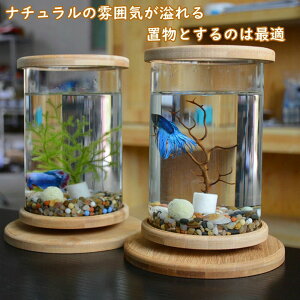 ]  RpNg Mы ی` ~ x^ i` 킢   ~j ANAE  